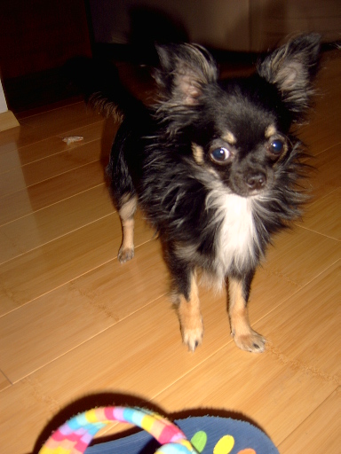image file name: 2k320ba52057.jpg