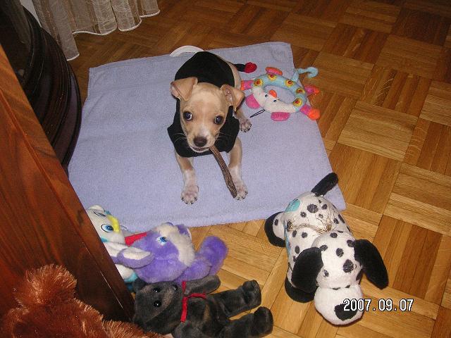 image file name: 2k326d116c0c.jpg