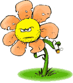 image file name: 2k333e98b406.gif
