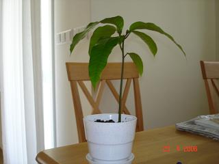 image file name: 2k3353a14cb6.jpg