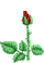 image file name: 2k3462d9f293.gif