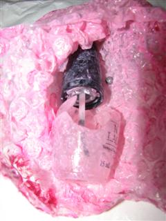 image file name: 2k35adcba88a.jpg