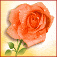 image file name: 2k38783f13d1.gif