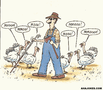 image file name: 2k38cbb55e3e.gif