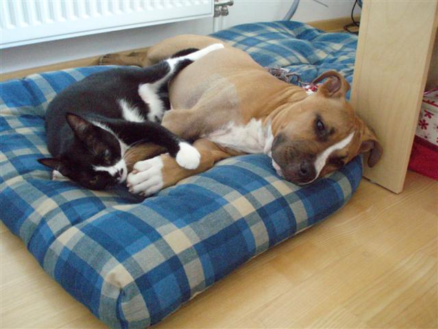 image file name: 2k3995ac48e3.jpg
