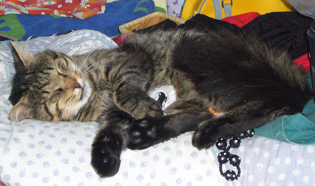 image file name: 2k39f5751523.jpg