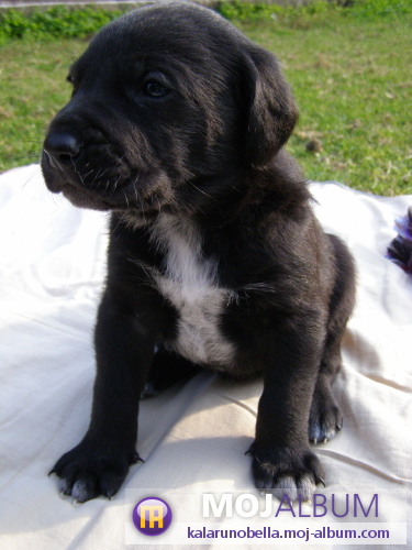 image file name: 2k3aa2307448.jpg