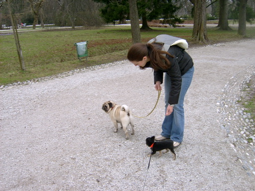 image file name: 2k3bb5f0457e.jpg