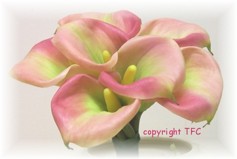 image file name: 2k3d3d22ab41.jpg