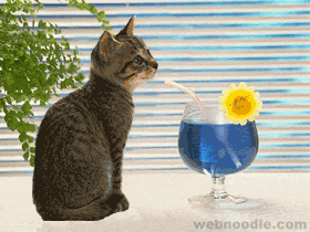 image file name: 2k3e0460e1da.gif