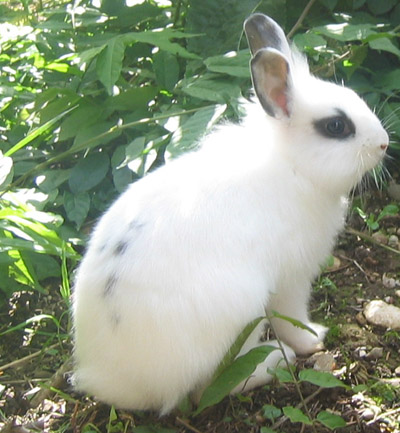 image file name: 2k3e58cf1d3b.jpg