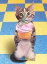 image file name: 2k41405547e2.jpg