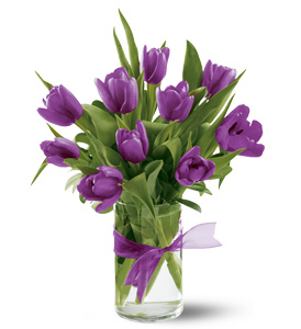 image file name: 2k41ce3d6b47.jpg