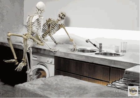 image file name: 2k41db7573c7.gif