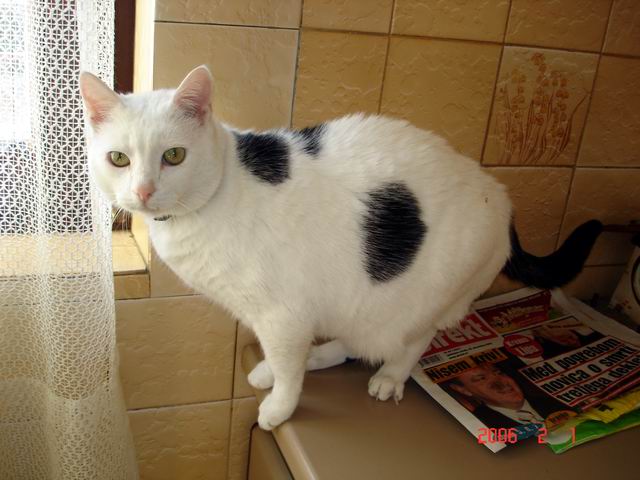 image file name: 2k42e9d171a7.jpg