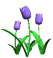 image file name: 2k432eaf77e1.gif