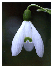 image file name: 2k4526706118.gif