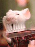 image file name: 2k4740685329.gif
