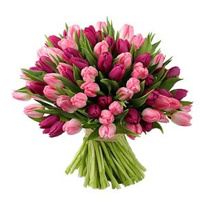 image file name: 2k47c05e8be3.jpg