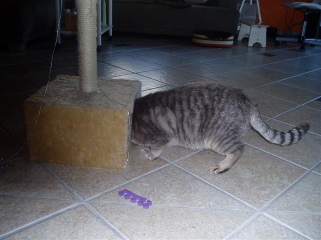 image file name: 2k47d326c9fa.jpg