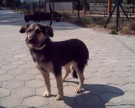 image file name: 2k47d9dcce41.jpg