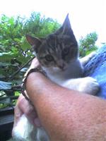 image file name: 2k4841af33e3.jpg