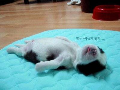 image file name: 2k4900e669f2.jpg