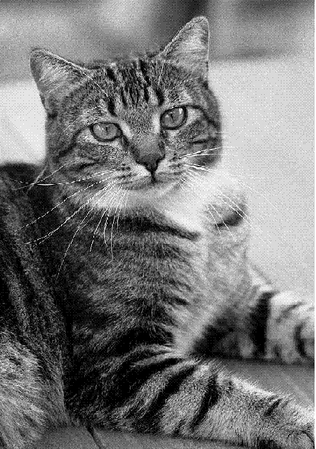 image file name: 2k4b1d34dd61.gif