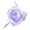 image file name: 2k4bba817d89.gif