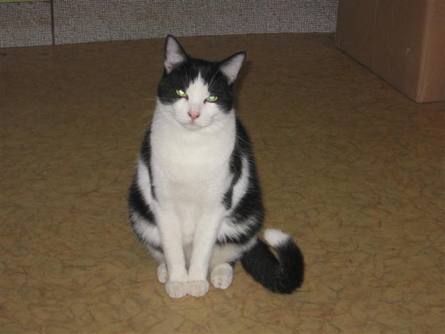 image file name: 2k4c00c40c30.jpg