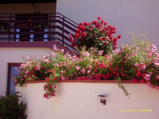 image file name: 2k5018ac963a.jpg