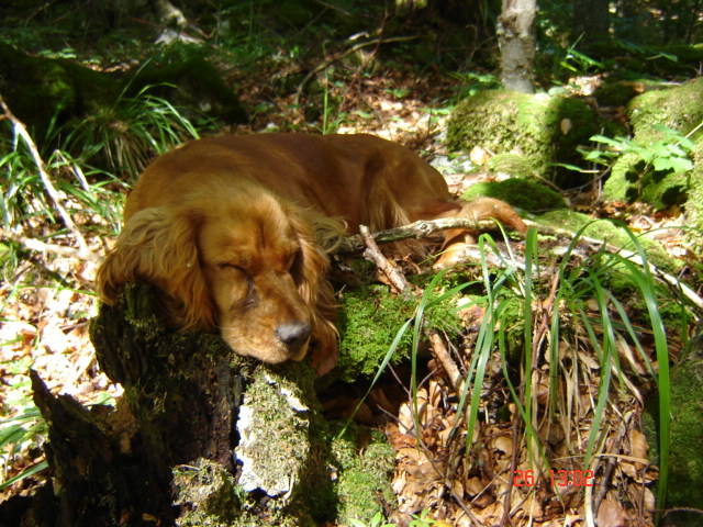 image file name: 2k5099fc665f.jpg