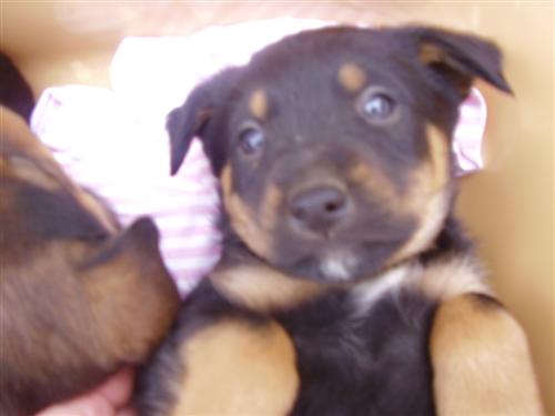 image file name: 2k512a4967ef.jpg