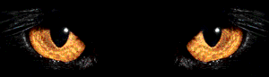 image file name: 2k519ce5e2ed.gif