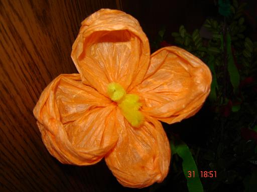 image file name: 2k5264716f89.jpg