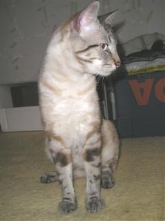 image file name: 2k53d5cb5cb1.jpg
