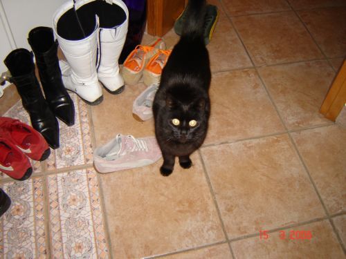 image file name: 2k5474fee773.jpg