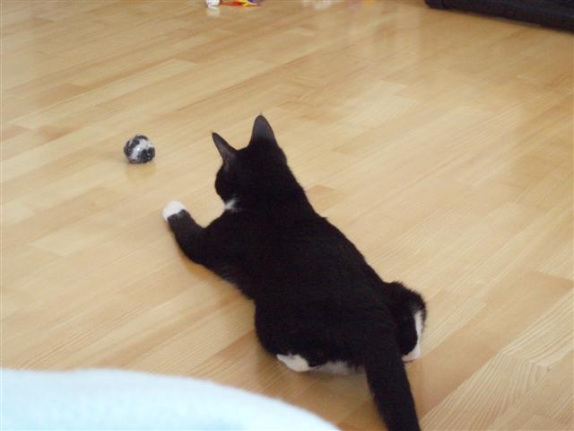 image file name: 2k550716788d.jpg