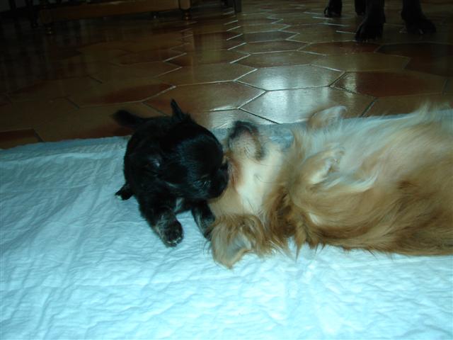 image file name: 2k58126ffaae.jpg