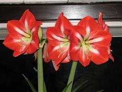 image file name: 2k58be5870b5.jpg