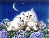 image file name: 2k58d69a065c.jpg