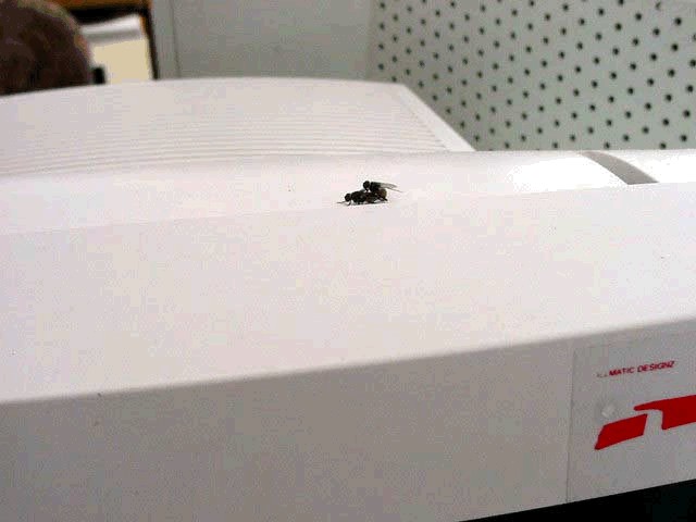 image file name: 2k59305aa916.jpg