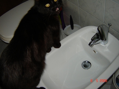 image file name: 2k59dcecaf0f.jpg