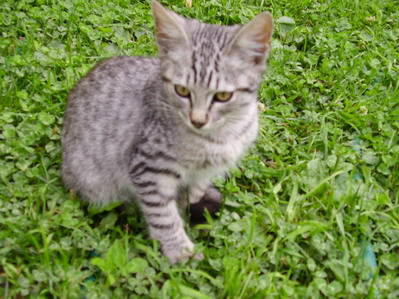 image file name: 2k5a24cb0b6c.jpg
