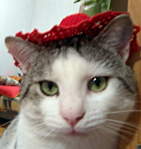 image file name: 2k5a44383a1f.jpg