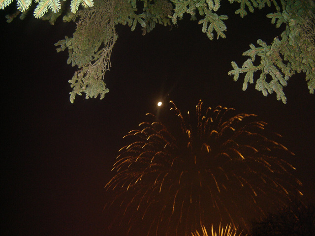 image file name: 2k5a9d0b46bf.jpg