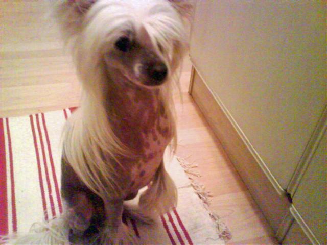 image file name: 2k5bb587a85f.jpg