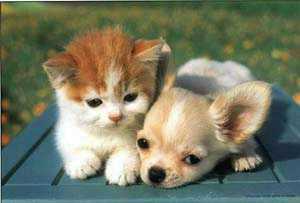 image file name: 2k5bfb152085.jpg