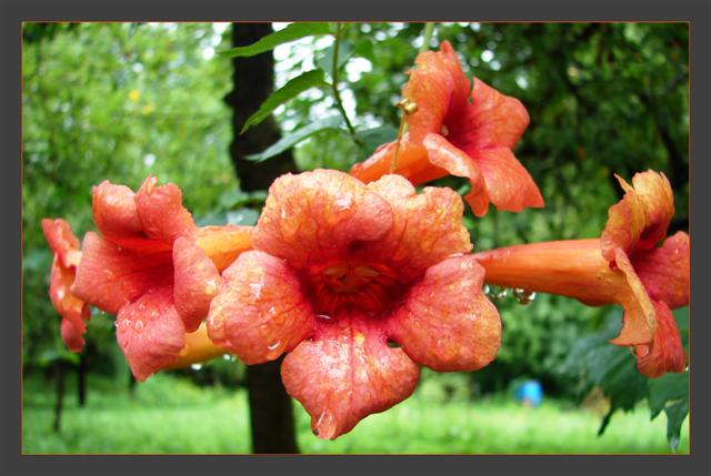 image file name: 2k5c7bd7d0b8.jpg
