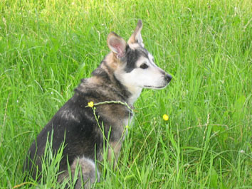 image file name: 2k5d8cc5f6d1.jpg